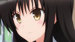  1boy 4girls animalization animated indoors kotegawa_yui momioka_risa mouse_(animal) multiple_girls sairenji_haruna sawada_mio sound tagme to_love-ru to_love-ru_darkness to_love-ru_darkness_2nd tribadism tripping video yuuki_rito 