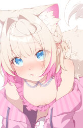  1girl absurdres all_fours animal_ears aobara_hairi bare_shoulders bent_over bikini blonde_hair blue_eyes blush braid breasts colored_inner_animal_ears dog_ears dog_girl dog_tail extra_ears hair_intakes highres hololive hololive_english hood hoodie medium_hair mococo_abyssgard multicolored_hair open_mouth pink_bikini pink_hair pink_hoodie shoulder_blush simple_background small_breasts solo swimsuit tail thighhighs two-tone_hair upturned_eyes virtual_youtuber white_background white_thighhighs yellow_tail  rating:Sensitive score:1 user:danbooru