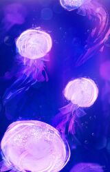  animal glowing jellyfish lens_flare light_particles limited_palette no_humans original painterly see-through_body still_life underwater zandra 