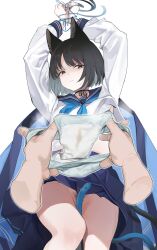  1boy 1girl absurdres angry animal_ears arms_up bdsm black_eyes black_hair blue_archive blue_tail bondage bound cat_ears clothes_lift djheycha halo highres holding holding_unworn_clothes holding_panties holding_underwear holding_unworn_clothes kikyou_(blue_archive) no_panties panties pleated_skirt pubic_hair pussy_juice_stain ribbon sailor_collar school_uniform sensei_(blue_archive) short_hair skirt skirt_lift smell underwear  rating:Explicit score:27 user:danbooru