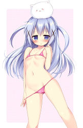 1girl :3 :d :o =_= angora_rabbit animal animal_on_head bikini bikini_pull blue_eyes blue_hair blush breasts cameltoe chestnut_mouth clothes_pull contrapposto covered_erect_nipples embarrassed female_focus gochuumon_wa_usagi_desu_ka? groin hair_ornament hairclip hand_on_own_chest kafuu_chino legs_apart loli long_hair micro_bikini nagayama_yuunon navel on_head open_mouth outside_border pink_bikini pulling_own_clothes rabbit rabbit_house_uniform rabbit_on_head silver_hair simple_background skindentation small_breasts smile solo standing string_bikini swimsuit tippy_(gochiusa) tippy_(gochuumon_wa_usagi_desuka?) twintails two_side_up underboob x_hair_ornament rating:Questionable score:192 user:danbooru