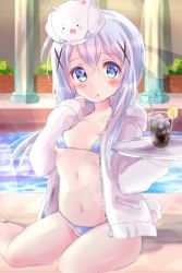&gt;:3 &gt;:d 1girl :3 :d angora_rabbit animal animal_on_head bad_id bad_pixiv_id bikini bikini_under_clothes blue_bikini blue_eyes blue_hair blush blush_stickers breasts brick_wall bush chestnut_mouth colored_eyelashes cup drink drinking_glass drinking_straw embarrassed female_focus gochuumon_wa_usagi_desu_ka? groin hair_ornament hairclip holding hood hoodie ice ice_cube jacket kafuu_chino long_hair long_sleeves looking_at_viewer micro_bikini navel o_o on_head open_clothes open_hoodie open_mouth parted_bangs parted_lips pillar pocket pool poolside rabbit rabbit_on_head rabbit_tail raised_eyebrows sidelocks silver_hair sitting sketch small_breasts smile solo string_bikini sweatdrop swimsuit swimsuit_under_clothes tail tippy_(gochiusa) tippy_(gochuumon_wa_usagi_desuka?) tray unzipped v-shaped_eyebrows water x_hair_ornament yasuda_rikka yokozuwari zipper rating:Sensitive score:19 user:danbooru