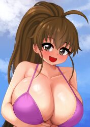  1girl :d absurdres ahoge arms_under_breasts big_hair bikini blush breasts brown_eyes brown_hair cleavage cloud collarbone highres huge_breasts long_hair looking_at_viewer open_mouth outdoors pink_bikini ponytail sideboob skindentation sky smile solo sweat swimsuit taneshima_popura the_only_shoe upper_body wet working!!  rating:Sensitive score:38 user:internetlovemachine