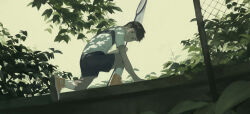  1boy bandaid bandaid_on_face black_hair butterfly_net chain-link_fence choidomart closed_mouth commentary_request converse fence from_behind full_body green_theme hand_net highres holding leaf looking_at_viewer male_focus muted_color nature original outdoors plant shirt shoes short_hair shorts sky solo squatting tree white_shirt wide_shot yellow_sky 