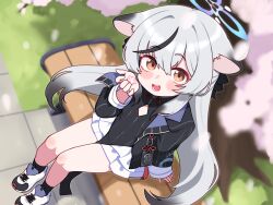  1girl absurdres animal_ears black_dress black_hair black_socks blue_archive dress grey_hair halo highres kokona_(blue_archive) lk149 long_hair looking_at_viewer multicolored_hair sitting socks solo streaked_hair 