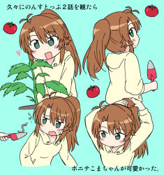 1girl :d antenna_hair brown_hair child flat_chest green_eyes highres holding_trowel hood hoodie koshigaya_komari light_blush light_smile multiple_views non_non_biyori open_mouth plant ponytail rainbowcard smile tomato translation_request worm yellow_hoodie