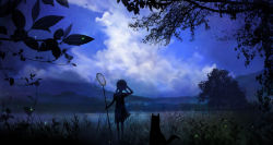 00 1girl blurry braid bug butterfly_net cloud dark dog dress female_focus firefly from_behind grass hand_net hand_on_own_head highres hill insect jpeg_artifacts lake looking_afar night night_sky original scenery silhouette sky solo star_(sky) tree twin_braids water