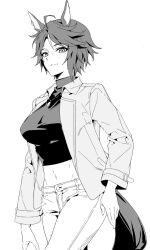 Rule 34 | 1girl, ahoge, alternate costume, animal ears, breasts, casual, closed mouth, cowboy shot, crop top, fuji kiseki (umamusume), greyscale, highres, horse ears, horse girl, horse tail, jacket, jewelry, long sleeves, looking at viewer, medium breasts, monochrome, navel, open clothes, open jacket, pants, pendant, shirt, short hair, smile, solo, tail, umamusume, walking, zn242878163