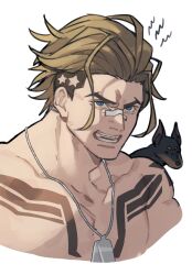 Rule 34 | 1boy, absurdres, angry, animal, bandage on nose, bandages, blonde hair, blue eyes, braces, chest tattoo, clenched teeth, collarbone, commentary request, cropped torso, dobermann, dog, dog tags, forked eyebrows, hair slicked back, highres, luke sullivan, male focus, prat rat, short sideburns, simple background, solo, street fighter, street fighter v, tattoo, teeth, topless male, white background