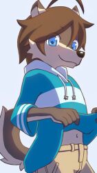 1boy ahoge animal_ears blue_eyes blue_hoodie brown_shorts closed_mouth clothes_lift commentary_request furry furry_male highres hood hood_down hoodie hoodie_lift looking_at_viewer male_focus morenatsu navel shorts shun_kodori smile tail totoken_030 wolf_boy wolf_ears wolf_tail