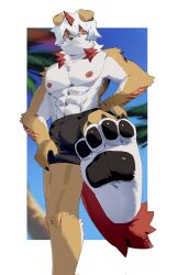 1boy abs arknights bara barefoot black_shorts blue_sky colored_tips commentary foot_up furry furry_male hand_on_own_hip hand_on_own_leg highres horns hung_(arknights) jyuuzai komainu_boy komainu_ears komainu_tail looking_at_viewer looking_down male_focus multicolored_hair muscular muscular_male nipples palm_tree pawpads pectorals shorts single_horn sky standing standing_on_one_leg symbol-only_commentary topless_male tree