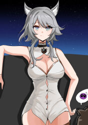 1girl absurdres animal_ears bare_arms bare_shoulders breasts cat_ears cipher_(honkai:_star_rail) cleavage cleavage_cutout clothing_cutout cowboy_shot grey_eyes grey_hair highres honkai:_star_rail honkai_(series) long_hair looking_at_viewer night night_sky no_pants shirt sky smile standing star_(sky) starry_sky waist_(chem5772) white_shirt
