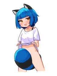 1girl :3 absurdres animal_ears between_legs black_tail blue_hair blue_tail blush bottomless bra_strap breasts clothes_lift collarbone covering_crotch covering_privates cropped_legs eyelashes fang highres idol_corp legs_apart lifting_own_clothes looking_at_viewer naughty_face navel open_mouth poko_rakun raccoon_ears raccoon_girl raccoon_tail ryoshi shirt shirt_lift short_eyebrows short_hair short_sleeves simple_background small_breasts smile solo standing t-shirt tail tail_between_legs tail_censor v-shaped_eyebrows virtual_youtuber white_background white_shirt yellow_eyes