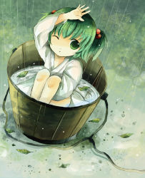 1girl bad_id bad_pixiv_id bucket female_focus green_eyes green_hair hair_bobbles hair_ornament ichitaro in_bucket in_container kisume leaf matching_hair/eyes rain solo touhou twintails