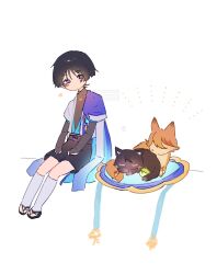 Rule 34 | 1boy, animalization, belt, bird, black belt, black bodysuit, black bow, black bridal gauntlets, black cat, black hair, black sandals, black shorts, blue gemstone, blue kimono, blue sleeves, blunt ends, blush, bodysuit, bow, bridal gauntlets, cape, cat, eyeliner, eyeshadow, feathers, fox, full body, furisode, gem, genshin impact, gold, hands on own thighs, hat, heart, highres, japanese clothes, jingasa, juban, kimono, layered sleeves, leg warmers, looking at animal, looking down, makeup, male focus, mandarin collar, nero hanken, niwa (genshin impact), no mouth, open clothes, open kimono, person and animalization, pom pom (clothes), purple cape, purple eyes, purple hat, purple sash, red eyeliner, red eyeshadow, sandals, sash, scaramouche&#039;s sickly friend (genshin impact), scaramouche (cat) (genshin impact), scaramouche (genshin impact), short sleeves, shorts, sitting, sketch, unworn hat, unworn headwear, vision (genshin impact), wanderer (genshin impact), white background, white kimono, white leg warmers, white sleeves, wispy bangs, yellow feathers, zouri
