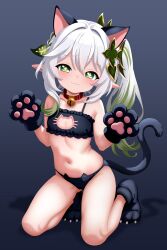 1girl :3 absurdres animal_ears animal_hands bell black_bra black_gloves black_panties black_shoes blush bra braid breasts cat_cutout cat_ear_panties cat_ears cat_girl cat_lingerie cat_tail clothing_cutout collar furfik genshin_impact gloves gluteal_fold gradient_hair green_eyes green_hair highres jingle_bell kneeling leaf loli long_hair looking_at_viewer meme_attire multicolored_hair nahida_(genshin_impact) navel neck_bell panties paw_gloves paw_shoes shoes side_ponytail small_breasts smile solo stomach tail thighs underwear underwear_only white_hair