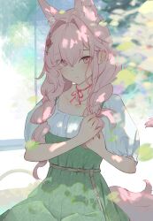 18_yen_coin 1girl animal_ears arknights blurry blurry_foreground blush braid closed_mouth collarbone day dress green_dress hair_intakes hair_ornament highres long_hair looking_at_viewer neck_ribbon outdoors pinafore_dress pink_eyes pink_hair pink_tail plant pozyomka_(arknights) red_ribbon ribbon shirt short_sleeves sleeveless sleeveless_dress solo tail twin_braids twintails white_shirt wolf_ears wolf_girl wolf_tail