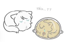 animal_focus animalization cat cat_loaf crying faust_(project_moon) highres limbus_company no_humans ohzv photo-referenced project_moon short_hair simple_background sinclair_(project_moon) white_background white_fur white_hair yellow_fur