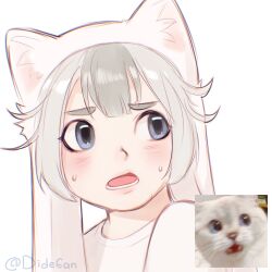Rule 34 | 1other, androgynous, baby animal, cat, dide6an, grey eyes, grey hair, highres, humanization, kitten, looking at viewer, medium hair, meme, original, photo-referenced, photo inset, reference inset, sketch