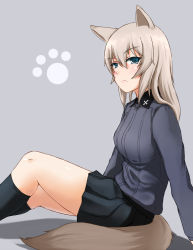 Rule 34 | 10s, 1girl, animal ears, black skirt, black socks, blue eyes, dress shirt, female focus, from side, frown, girls und panzer, grey background, grey shirt, itsumi erika, kemonomimi mode, kneehighs, kuromorimine military uniform, long hair, long sleeves, looking at viewer, miniskirt, paw print, pleated skirt, school uniform, shirt, silver hair, simple background, sitting, skirt, socks, solo, tail, wolf ears, wolf tail, yakuto007