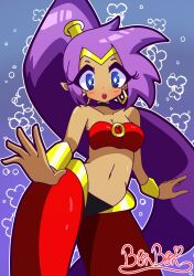 +_+ 1girl bare_shoulders black_choker blue_eyes blush bonbon_(bonzomcbonbon) bra bracelet breasts bright_pupils choker cleavage collarbone dark-skinned_female dark_skin earrings flower jewelry long_hair looking_at_viewer medium_breasts navel open_mouth pants pointy_ears ponytail purple_hair red_bra red_pants shantae shantae_(series) signature solo underwear very_long_hair white_pupils