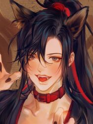 Rule 34 | 1boy, ahoge, androgynous, animal collar, animal ears, bishounen, black hair, black hanfu, black nails, blush, chinese clothes, claw pose, collar, collarbone, eyelashes, fangs, fingernails, fox boy, fox ears, fox tail, grey eyes, hair ribbon, hands up, hanfu, high ponytail, kemonomimi mode, korean commentary, long hair, looking at viewer, male focus, modao zushi, nail polish, niken (niken ouo), open mouth, ponytail, portrait, red collar, red ribbon, ribbon, sharp fingernails, sidelocks, smile, solo, tail, tongue, wei wuxian