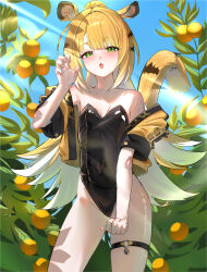 1girl alternate_costume alternate_hairstyle animal_ear_fluff animal_ears bare_shoulders black_leotard blonde_hair blush claw_pose clenched_hand covered_navel green_eyes haoma highleg highleg_leotard highres ju_fufu leotard long_hair looking_at_viewer open_mouth ponytail solo strapless strapless_leotard sweat tail thigh_strap tiger_ears tiger_girl tiger_tail zenless_zone_zero