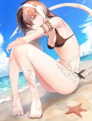 Rule 34 | 1girl, absurdres, au ra, beach, bikini, black bikini, blue sky, breasts, brown hair, cleavage, closed mouth, cloud, day, dragon girl, dragon horns, dragon tail, final fantasy, final fantasy xiv, full body, highres, horizon, horns, long hair, looking at viewer, medium breasts, navel, ocean, outdoors, red eyes, sand, shikina (mochigushi ), sitting, sky, solo, starfish, swimsuit, tail, warrior of light (ff14), water, white horns, white scales, white tail