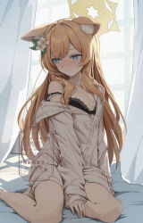 1girl alternate_costume animal_ear_fluff animal_ears black_bra blue_archive blue_eyes blush bra breasts cat_ears cat_girl cleavage closed_mouth hair_between_eyes highres korokoro_nekoz long_hair looking_to_the_side mari_(blue_archive) no_pants orange_hair shirt sidelocks single_off_shoulder sitting_sideways small_breasts solo underwear white_shirt