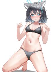 Rule 34 | 1girl, absurdres, alternate costume, animal ear fluff, animal ears, bare arms, bare legs, bare shoulders, barefoot, bikini, blue archive, blue eyes, blush, breasts, closed mouth, dobostorte, grey bikini, grey hair, hair between eyes, highres, kneeling, long hair, looking at viewer, navel, paw pose, shiroko (blue archive), sidelocks, solo, stomach, swimsuit, wolf boy, wolf ears