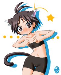 1girl :| agaa_(masatu) animal_ear_fluff animal_ears antenna_hair artist_name bandeau bare_shoulders bike_shorts black_bandeau black_shorts blush breasts brown_eyes brown_hair cameltoe cat_ears cat_girl cat_tail circle closed_mouth collarbone colored_shadow commentary cowboy_shot dancing drop_shadow ear_blush embarrassed flat_chest hands_up idolmaster idolmaster_(classic) idolmaster_1 kemonomimi_mode kikuchi_makoto looking_at_viewer motion_lines navel nose_blush own_hands_together shadow short_hair shorts signature small_breasts solo star_(symbol) strapless tail thigh_gap thigh_grab tomboy tube_top wavy_mouth white_background wide-eyed