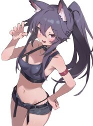 Rule 34 | 1girl, aku0, animal ear fluff, animal ears, belt collar, black collar, black hair, black shorts, breasts, claw pose, collar, commentary, commission, crop top, highres, long hair, looking at viewer, micro shorts, navel, open mouth, original, panties under shorts, pixiv commission, ponytail, purple eyes, shorts, simple background, small breasts, solo, symbol-only commentary, white background