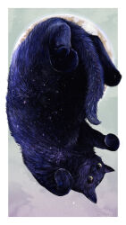 Rule 34 | animal, animal focus, black cat, cat, highres, kamimon2016, moon, no humans, original, upside-down