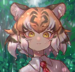 1girl :3 animal_ear_fluff animal_ears black_hair chromatic_aberration commentary extra_ears female_focus highres kemono_friends light_smile looking_at_viewer multicolored_hair necktie notora open_mouth orange_hair plaid_clothes plaid_necktie plaid_neckwear portrait rain red_necktie shirt short_hair solo tiger_(kemono_friends) tiger_ears water_drop white_hair white_shirt wing_collar yellow_eyes