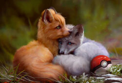 absurdres alolan_form alolan_vulpix blurry blurry_background creatures_(company) embers frost game_freak gen_1_pokemon gen_7_pokemon highres mikrenart nature nintendo no_humans outdoors poke_ball pokemon pokemon_(creature) pokemon_focus realistic red_fur vulpix white_fur