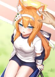 Rule 34 | 1boy, 1girl, :o, absurdres, animal ear fluff, animal ears, blue archive, blue eyes, blue shorts, breasts, cat ears, flower, gym uniform, hair flower, hair ornament, halo, headband, highres, incoming headpat, long hair, looking at viewer, mari (blue archive), mari (track) (blue archive), medium breasts, official alternate costume, open mouth, orange hair, sensei (blue archive), shirt, shorts, threeboon, white flower, white shirt