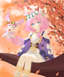 Rule 34 | 2girls, autumn leaves, blue eyes, breasts, chinese commentary, coat, commentary request, cyrene (honkai: star rail), dress, falling leaves, hair ornament, head wreath, highres, honkai: star rail, honkai (series), leaf, luoqing09379, medium hair, mem (honkai: star rail), multicolored hair, multiple girls, orange sky, outdoors, pink hair, purple coat, sitting on branch, sky, small breasts, smile, tail, two-tone hair, white dress, white hair