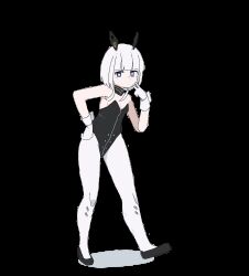 1girl adapted_costume animal_ears animated animated_gif bad_id bad_piapro_id black_footwear black_leotard blinking blue_eyes blunt_bangs breasts bright_pupils cevio closed_mouth commentary_request dancing detached_collar dot_mouth expressionless fake_animal_ears flats hair_over_shoulder hand_to_own_mouth hands_on_own_hips highres kafu_(cevio) kamitsubaki_studio leotard long_hair looking_at_viewer looping_animation low_twintails mechanical_ears miminushi multicolored_eyes pantyhose pink_eyes playboy_bunny rabbit_ears small_breasts solo thighs transparent_background twintails v white_hair white_pantyhose white_pupils wrist_cuffs