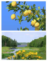 art_study blue_sky cloud day field flower food fruit fruit_tree grass highres horizon landscape leaf lemon multiple_views nature no_humans null_(skev7724) original outdoors reeds scenery sky sunlight tree water wetland