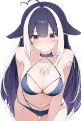 1girl absurdres ahoge animal_ears arm_behind_back bare_shoulders belt_collar bikini blue_bikini blush body_markings breasts closed_mouth collar commentary cowboy_shot droopy_ears embarrassed facial_mark halterneck highres indie_virtual_youtuber large_breasts long_hair mark_under_both_eyes multicolored_hair navel official_alternate_costume orca_girl paid_reward_available purple_eyes purple_hair shylily shylily_(bikini) simple_background solo stomach swimsuit thigh_gap two-tone_hair very_long_hair virtual_youtuber white_background white_hair yumiewuri