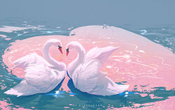 animal animal_focus artist_name bird dated from_behind heart heart_hands huhv. no_humans original outdoors swan water white_wings wings