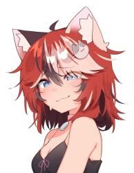 1girl :3 animal_collar animal_ear_fluff animal_ears black_hair blue_eyes breasts camisole cat_ears cat_girl cat_hair_ornament cleavage collar commentary english_commentary freckles hair_ornament highres ivy_(nyaivie) looking_at_viewer medium_hair multicolored_hair nyaivie original red_hair slit_pupils smile solo streaked_hair sweat upper_body white_hair