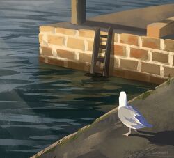 Rule 34 | artist name, bird, brick wall, ladder, landscape, no humans, original, outdoors, painterly, reflection, reflective water, scenery, seagull, shadow, signature, standing, zandra