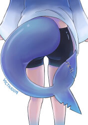 1girl absurdres bike_shorts black_shorts blue_hoodie fins fish_tail from_behind gawr_gura gawr_gura_(1st_costume) highres hololive hololive_english hood hoodie shark_girl shark_tail shorts solo tail tail_focus victarionsc virtual_youtuber