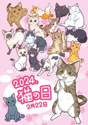2024 :3 absurdres animal animal_focus baby_animal black_cat brown_cat cat fluffy fujinagin grey_cat highres kitten looking_at_viewer no_humans open_mouth orange_cat original pink_background rearing siamese_cat simple_background sitting tabby_cat tail whiskers white_cat
