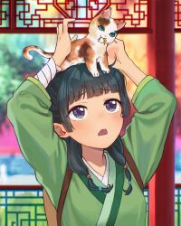 1girl 1other absurdres animal animal_on_head aowow bandaged_arm bandages blue_eyes blunt_bangs cat cat_on_head chinese_clothes commentary_request freckles green_hair green_hanfu hair_ornament hanfu highres kusuriya_no_hitorigoto looking_up maomao_(kusuriya_no_hitorigoto) on_head open_mouth tagme upper_body