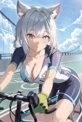 1girl absurdres animal_ear_fluff animal_ears bicycle bike_jersey bike_shorts blue_archive blue_eyes blue_halo blue_pants blue_sky breasts bridge center-flap_bangs chestnut_mouth cleavage cross gloves green_gloves halo highres inverted_cross large_breasts looking_at_viewer medium_hair mismatched_pupils pants pekoku_(tamago_sushi) riding riding_bicycle shiroko_(blue_archive) shiroko_(cycling)_(blue_archive) short_sleeves sidelocks sky solo suspension_bridge sweat white_hair wolf_ears