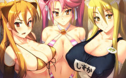 3girls animal_ears bare_shoulders bikini bikini_top_only blonde_hair blush breasts brown_eyes brown_hair cat_ears cleavage clothes covered_erect_nipples elbow_gloves front-tie_top glasses gloves highres highschool_of_the_dead huge_breasts long_hair marikawa_shizuka micro_bikini miyamoto_rei multiple_girls name_tag navel one-piece_swimsuit pink_hair red_eyes school_swimsuit smile swimsuit takagi_saya twintails yellow_eyes yn_red