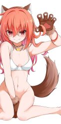 &gt;:) 1girl absurdres animal_ear_fluff animal_ears animal_hands bare_legs bare_shoulders between_legs blush bottomless bra breasts breasts_apart chain chain_necklace claw_pose closed_mouth commentary_request eyes_visible_through_hair fake_animal_ears fake_tail feet_out_of_frame gloves groin hair_between_eyes hair_down hair_intakes halloween_costume hand_between_legs highres inaba_meguru jewelry long_hair looking_at_viewer navel necklace official_alternate_costume open_clothes orange_hair paw_gloves red_eyes sanoba_witch simple_background sitting small_breasts smile smug solo split_mouth stomach suzukihiko7610 tail tail_raised underwear v-shaped_eyebrows wariza werewolf_costume white_background white_bra wolf_ears wolf_tail