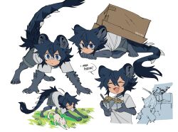 Rule 34 | 1boy, absurdres, all fours, animal, animal ears, animal feet, animal hands, blue eyes, blue hair, bowl, box, cardboard box, cat, cat stretch, claws, commentary, deviidog0, english commentary, english text, fang, food, highres, holding, holding bowl, male focus, monster boy, multiple views, original, short hair, simple background, stretching, tail, white background